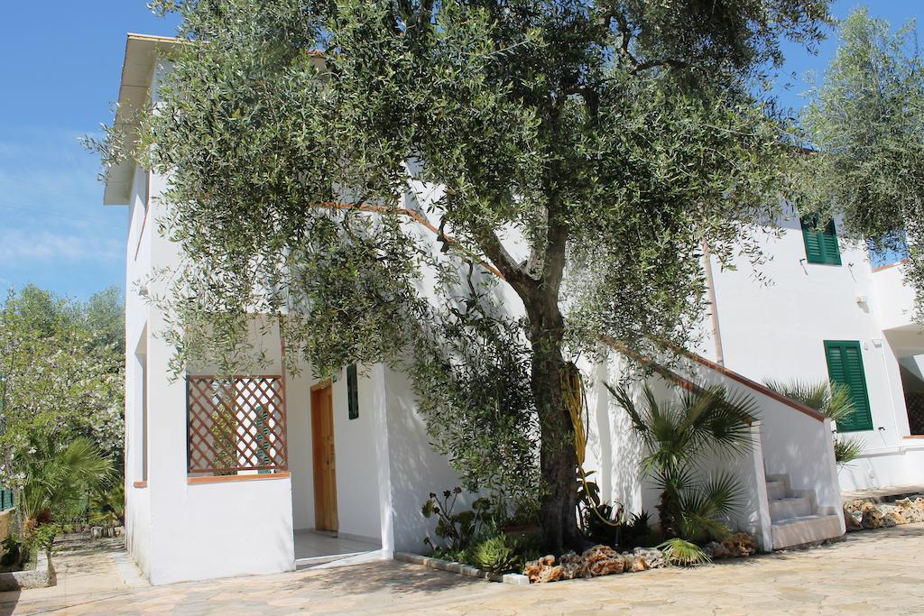 Green Garden Eco-Holiday Vieste Kültér fotó