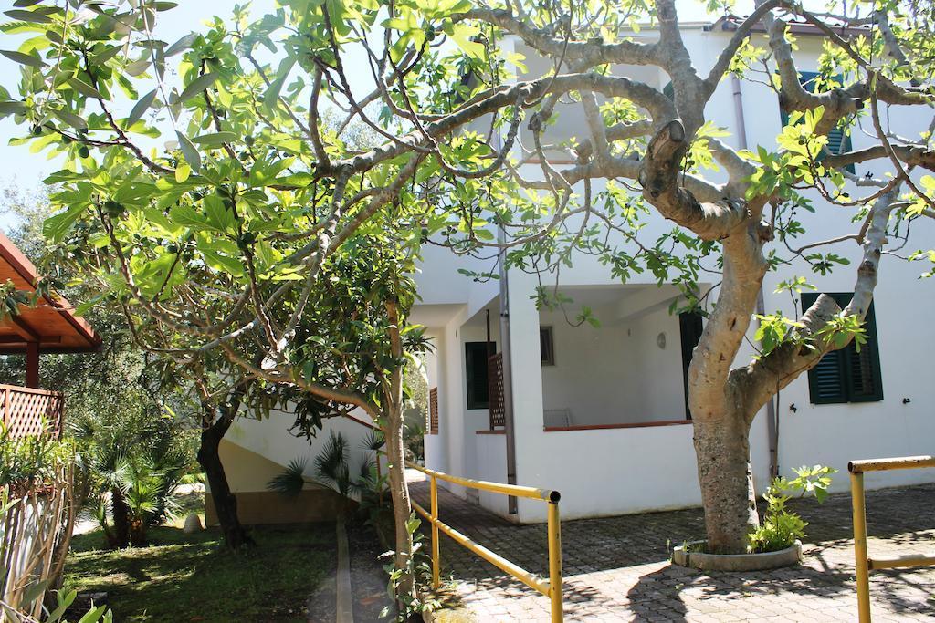 Green Garden Eco-Holiday Vieste Kültér fotó