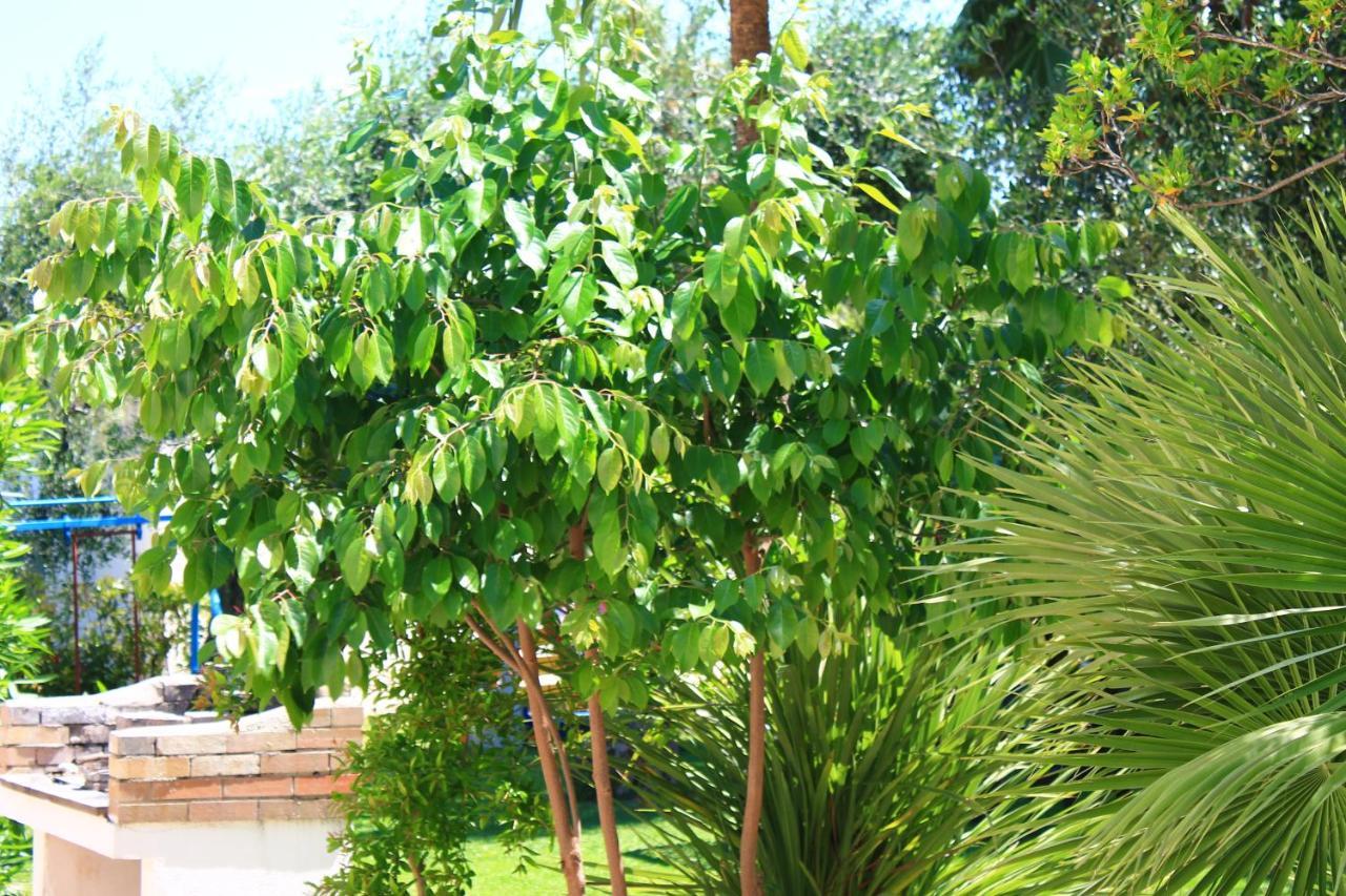 Green Garden Eco-Holiday Vieste Kültér fotó